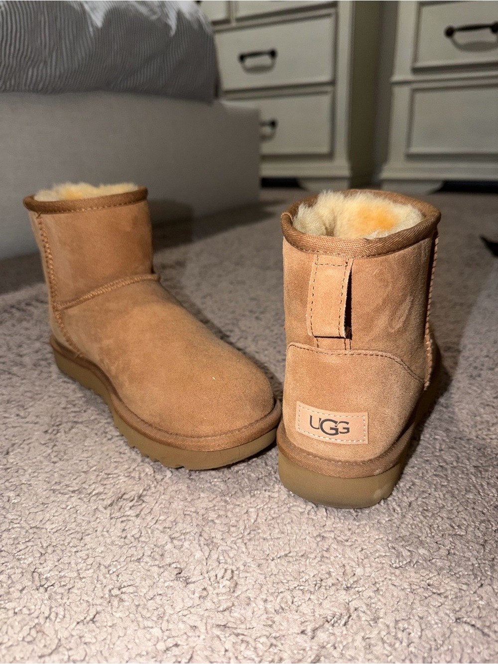 UGG Mini Classic Boot in Chestnut Suede